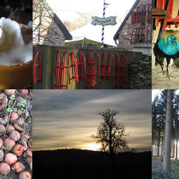 december-uitjes-eropuit-leuke-dingen-doen-in-december